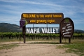 NapaValley092