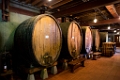 NapaValley104