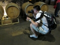 NapaValley109