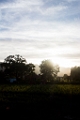 NapaValley133
