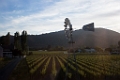 NapaValley134