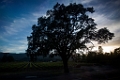 NapaValley137