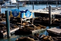 SanFrancisco154