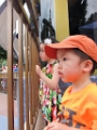 Disneyland076