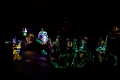 Disneyland100