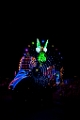 Disneyland102
