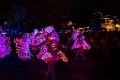 Disneyland113