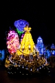 Disneyland121