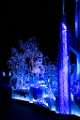 Disneyland127