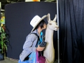 Stampede007