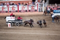 Stampede068