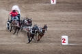 Stampede069