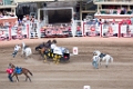 Stampede072