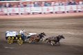 Stampede073