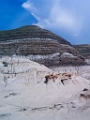 Drumheller012
