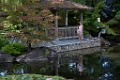Kelowna126