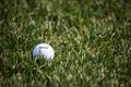 Golf007