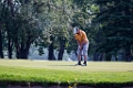 Golf041