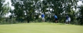 Golf077