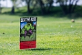 Golf132