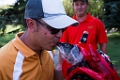 Golf234