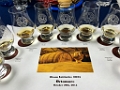Octomore006