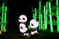 Illuminasia005