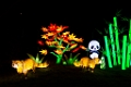 Illuminasia006