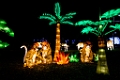 Illuminasia007
