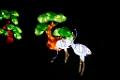 Illuminasia008
