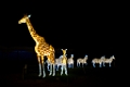 Illuminasia011