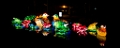 Illuminasia016
