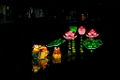 Illuminasia018