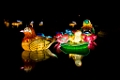 Illuminasia019