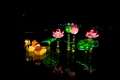 Illuminasia023