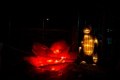 Illuminasia024