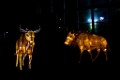 Illuminasia025