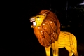 Illuminasia030