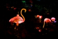 Illuminasia032