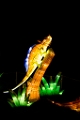 Illuminasia033