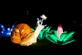 Illuminasia035