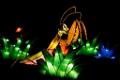 Illuminasia038