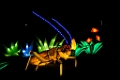 Illuminasia039
