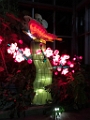 Illuminasia041
