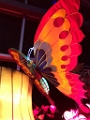 Illuminasia043