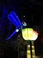 Illuminasia044