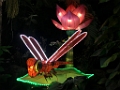 Illuminasia045