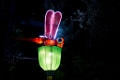 Illuminasia047