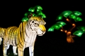Illuminasia048