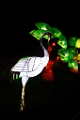 Illuminasia049